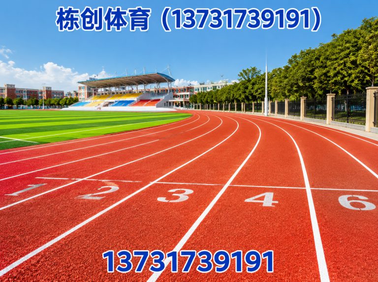 南皮县栋创体育展示图